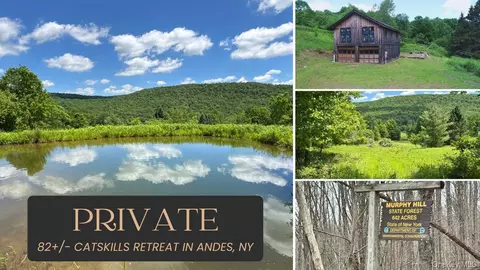 2613 Murphy Hill Rd, Andes, NY 13731