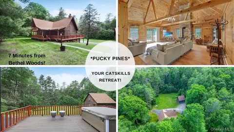 306 Pucky Huddle Rd, Bethel, NY 12720
