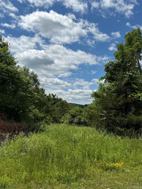 Rt-199, Pine Plains, NY 12567 photo 14