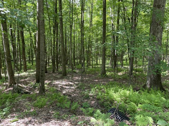 Skip Gray Road, Colchester, NY 13752