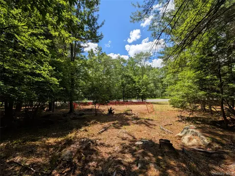 Ballard Road, Bethel, NY 12720