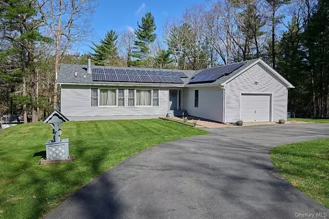 39 Pitio Rd, Lumberland, NY 12737
