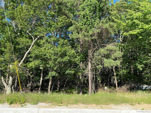 Pleasant Avenue, Brookhaven, NY 11763