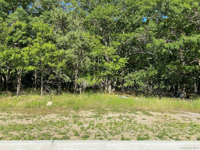 Granny Road, Brookhaven, NY 11763