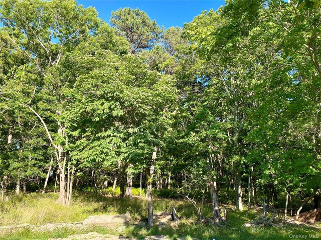 Granny Road, Brookhaven, NY 11763