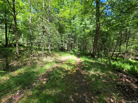 tbd Camp Kennybrook Rd, Thompson, NY 12701