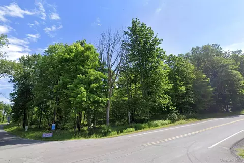 Edwards Road, Thompson, NY 12775 photo 4