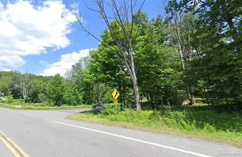 Edwards Road, Thompson, NY 12775 photo 3