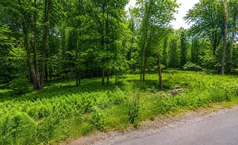 135 Rose Vly, Thompson, NY 12701