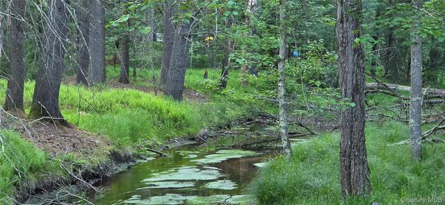 lot3 3 Old Tacy Rd, Bethel, NY 12720