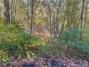 0 Budd Ln, North East, NY 12546
