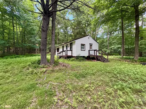 34 Newman Rd, Lumberland, NY 12770