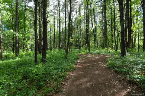 tbd Old Kings Rd, Catskill, NY 12414