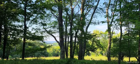 lot1 35 W Shore Rd, Bethel, NY 12783
