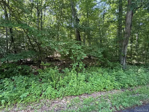599 E Mountain Rd N, Philipstown, NY 10516 photo 9