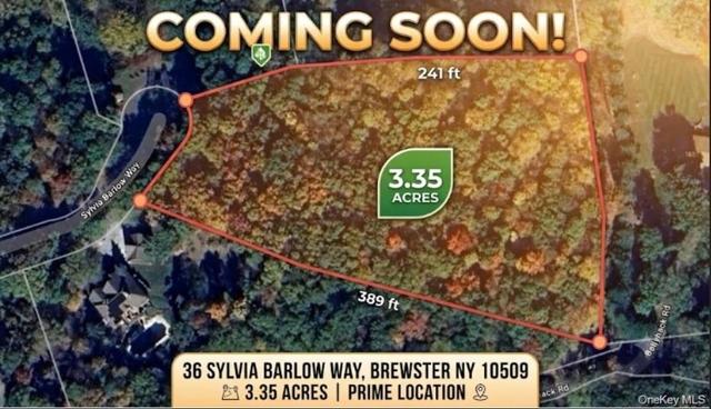 36 Sylvia Barlow Way, Southeast, NY 10509