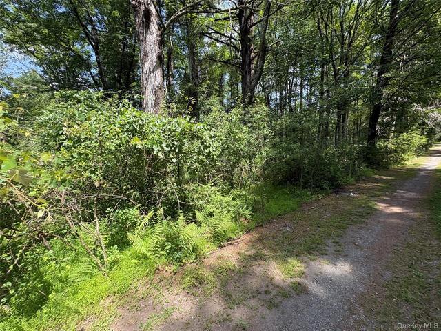 Belair Road, Lumberland, NY 12737