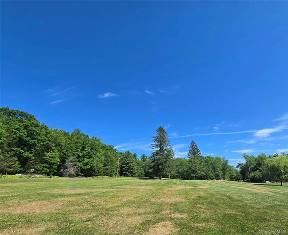 2 Avery Rd, Fallsburg, NY 12779