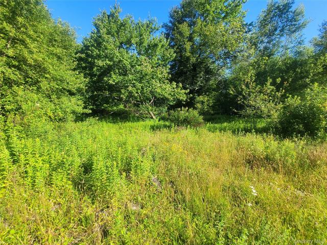 55 State St, Liberty, NY 12754