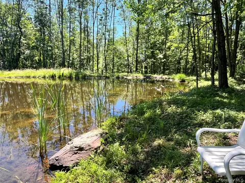 Upper Pond Dahlia Road W, Liberty, NY 12758