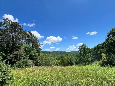 Lower Pond Dahlia Road W, Liberty, NY 12758