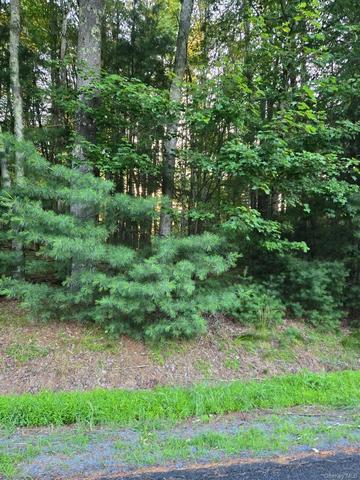 Horseshoe Lake Road, Bethel, NY 12764