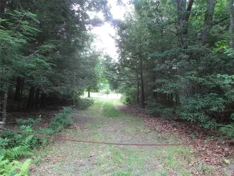 55 Fox Hill Road, Fallsburg, NY 12733