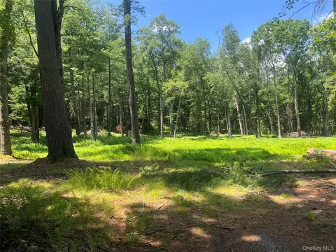 Geba Drive, Lumberland, NY 12737