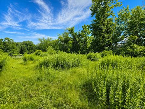 353 Winterton Rd, Mamakating, NY 12721