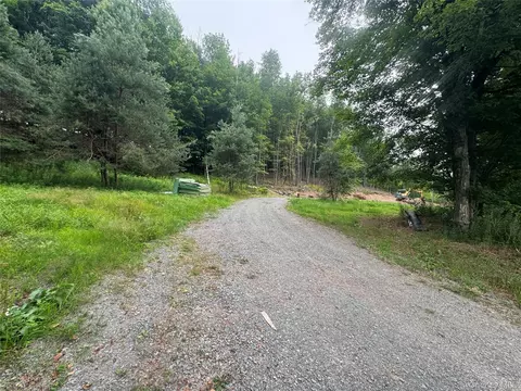 Rapp Road, Thompson, NY 12701