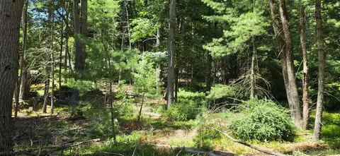 lot Apt 7 Irishtown Rd, Tusten, NY 12764