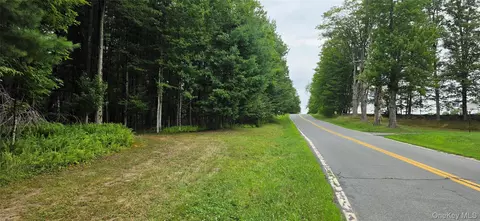 Co Hwy 73, Bethel, NY 12783