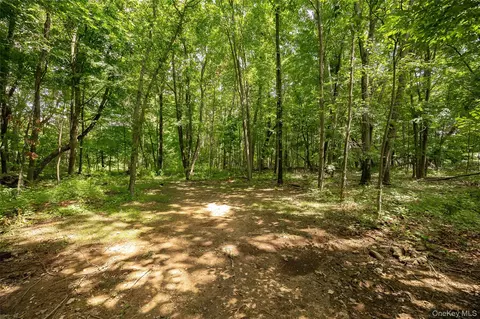 Other - 142 Mill St, Wallkill, NY 12589 photo 10 of 10
