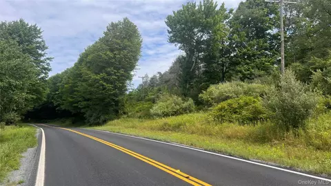 Horseshoe Lake Road, Bethel, NY 12783