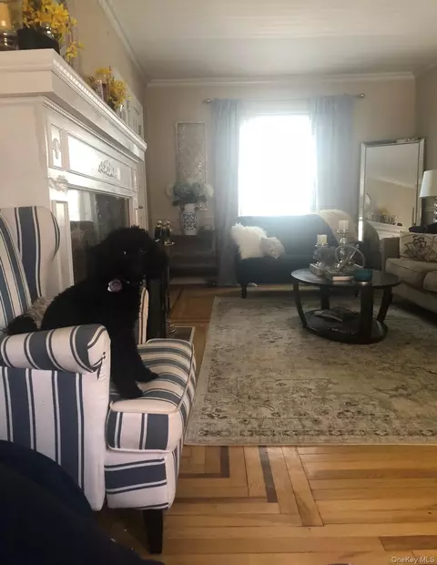 Living - 689 Stanton Ave, Baldwin, NY 11510 photo 3 of 3