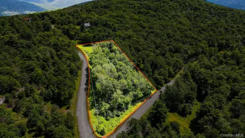 00 Red Hill Knolls Rd, Denning, NY 12740