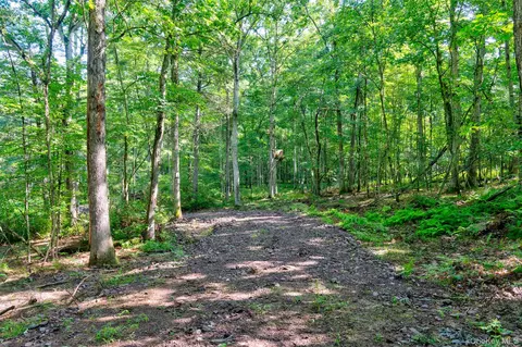 lot23 Perry Pond Rd, Tusten, NY 12764