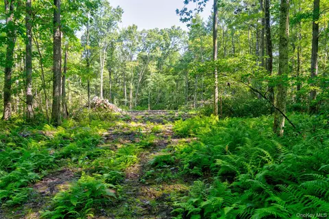 lot22 Perry Pond Rd, Tusten, NY 12764