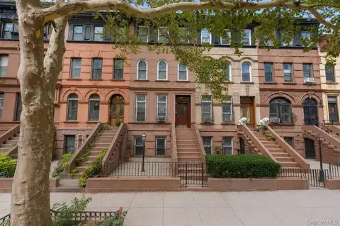 393 Park Pl, Brooklyn, NY 11238