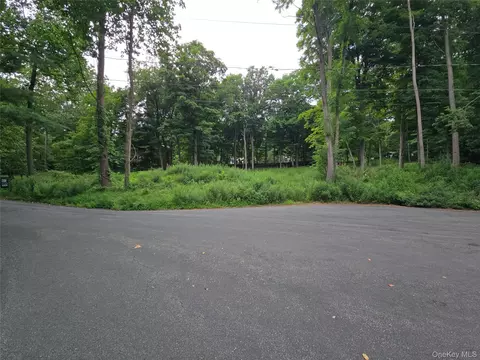 4 Samego Ct, Ramapo, NY 10901 photo 4