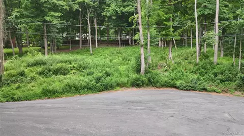4 Samego Ct, Ramapo, NY 10901 photo 5