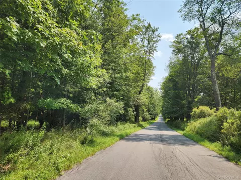Soule Road, Bethel, NY 12720
