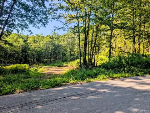 Hurd Road, Bethel, NY 12720