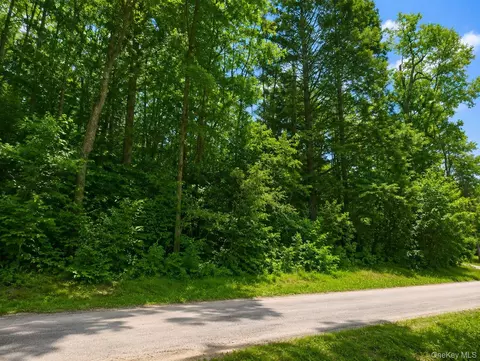 Benton Hollow Road, Neversink, NY 12765