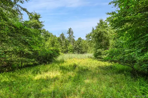 Oak Ridge Road, Wawarsing, NY 12428