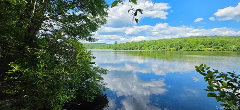 Shore Rd, Liberty, NY 12783