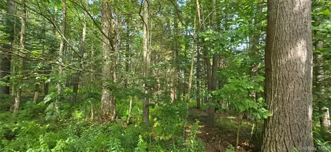 lot6 Nys 52, Tusten, NY 12764