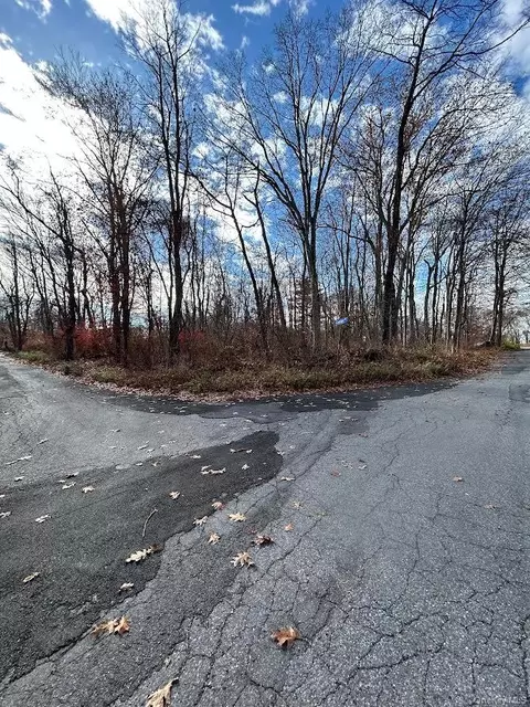 Anthony Road, Kent, NY 10512