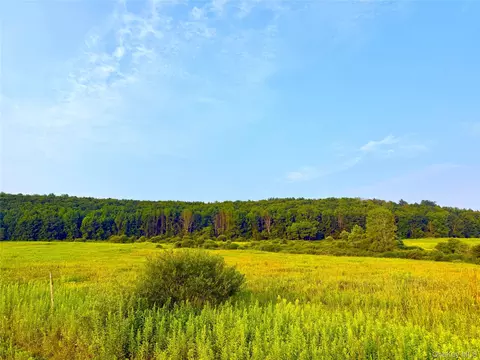 299 Walt Phillips, Guilford, NY 13460