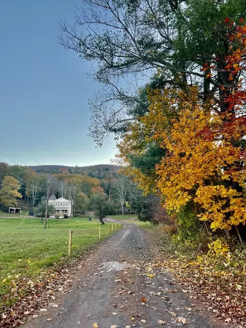 Other - 226 State Route 296, Windham, NY 12496 photo 9 of 9